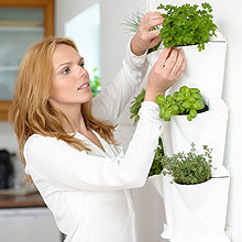 Minigarden Vertical Corner Set - Hydroponic Solutions