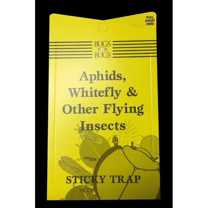 Bugs For Bugs Aphid and Whitefly Sticky Trap - Hydroponic Solutions