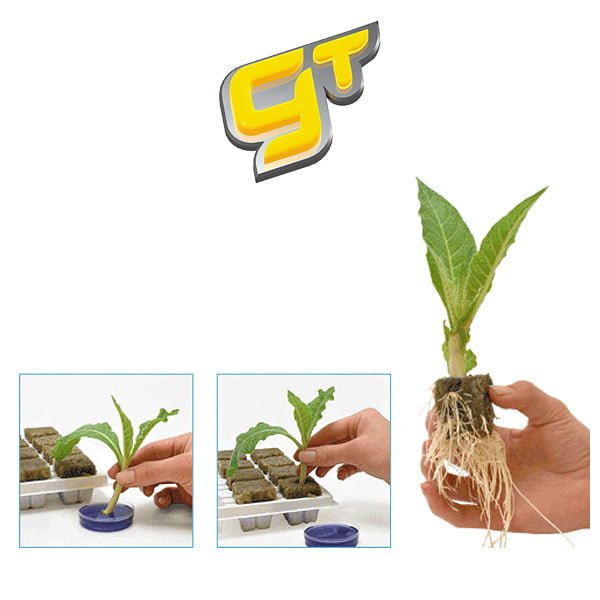 CLONEX ROOTING HORMONE GEL - Hydroponic Solutions
