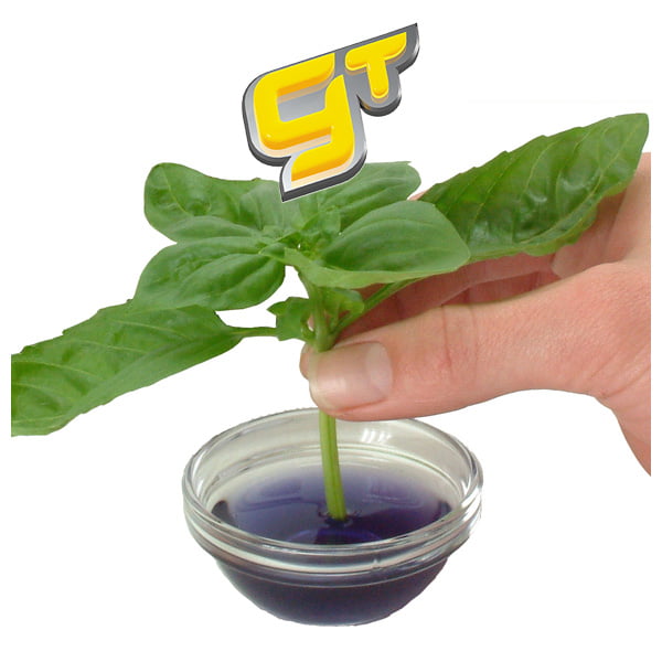 CLONEX ROOTING HORMONE GEL - Hydroponic Solutions