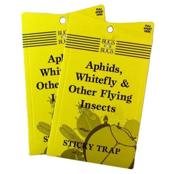 Bugs for Bugs Yellow Sticky Fly Trap – 10 x 25 cm