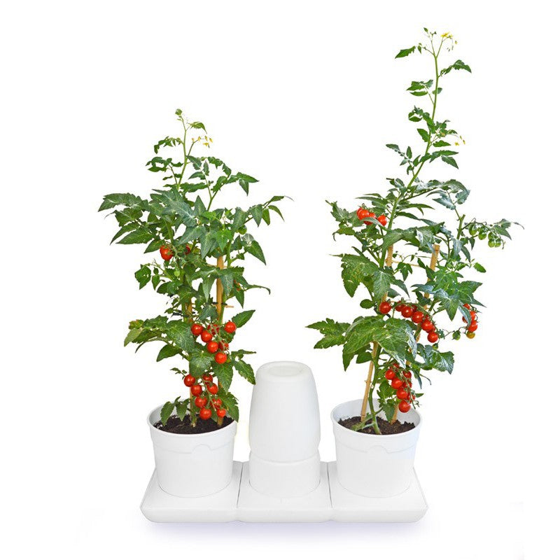 Minigarden Basic Self Watering System - Hydroponic Solutions