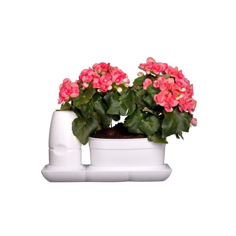 Minigarden Basic Self Watering System - Hydroponic Solutions