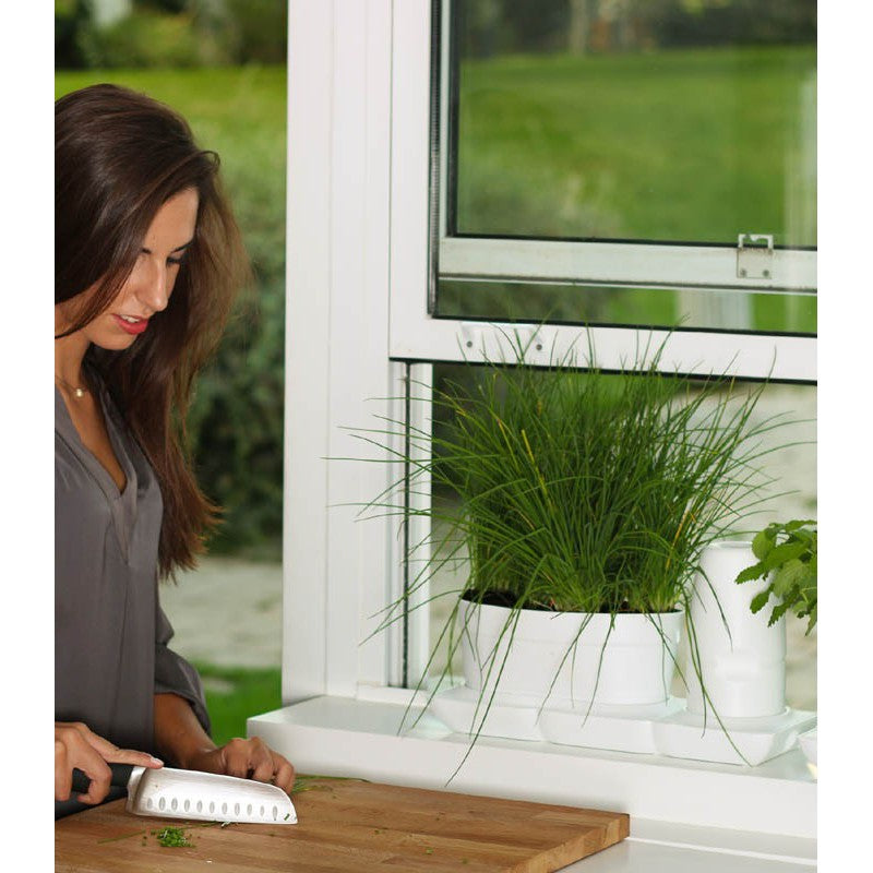 Minigarden Basic Self Watering System - Hydroponic Solutions