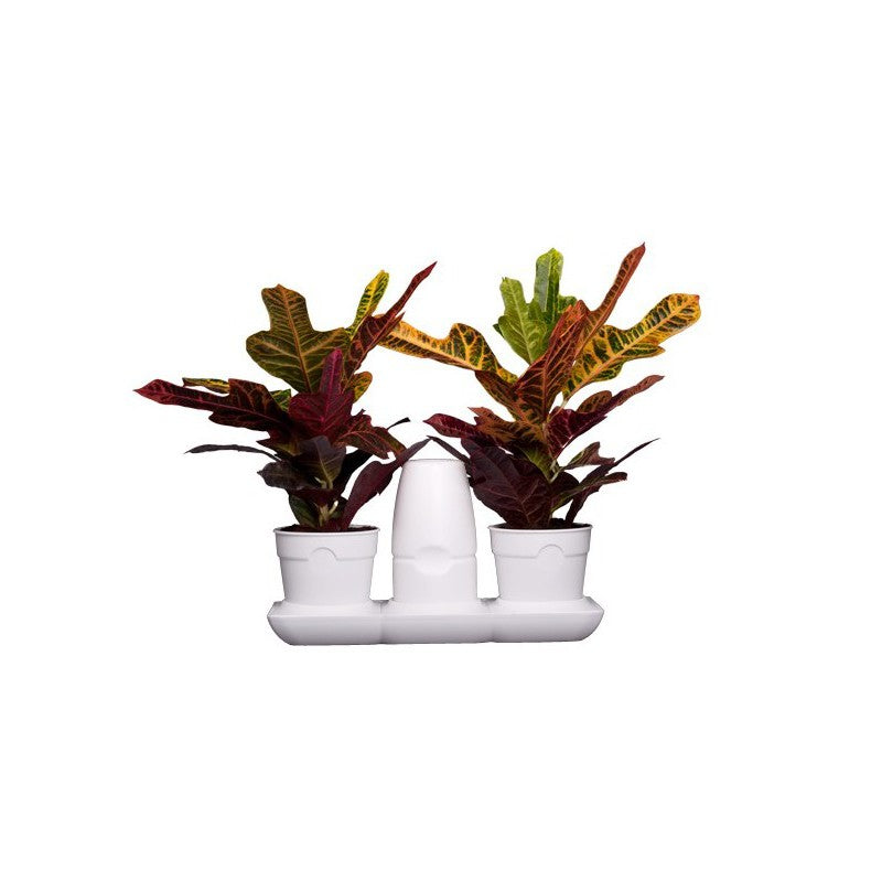 Minigarden Basic Self Watering System - Hydroponic Solutions
