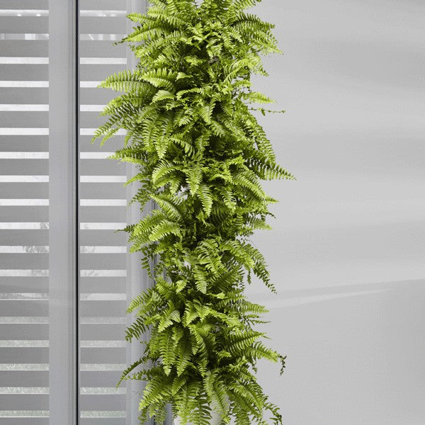 Minigarden Corner - Hydroponic Solutions