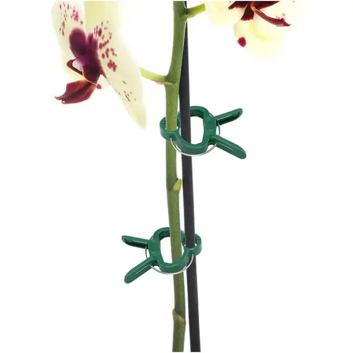 Spring Clips for Plant Training - Hydroponic Solutions