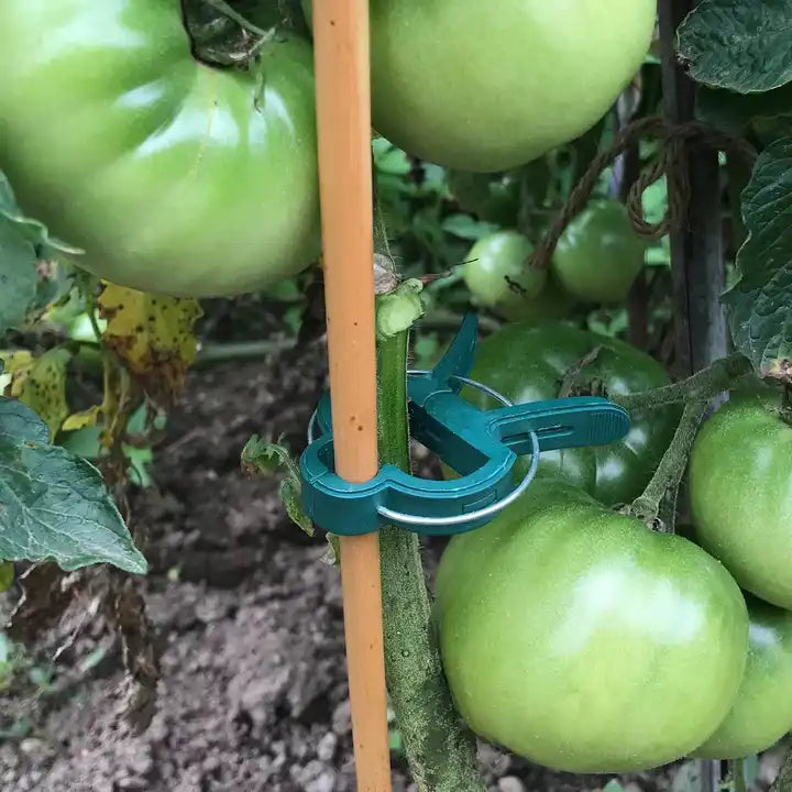 Spring Clips for Plant Training - Hydroponic Solutions