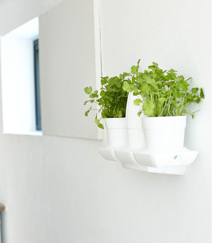 Minigarden Basic Kit – Self-Watering Planter for Indoor & Outdoor Use - Hydroponic Solutions