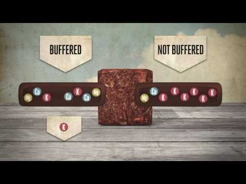 CANNA Coco Buffering