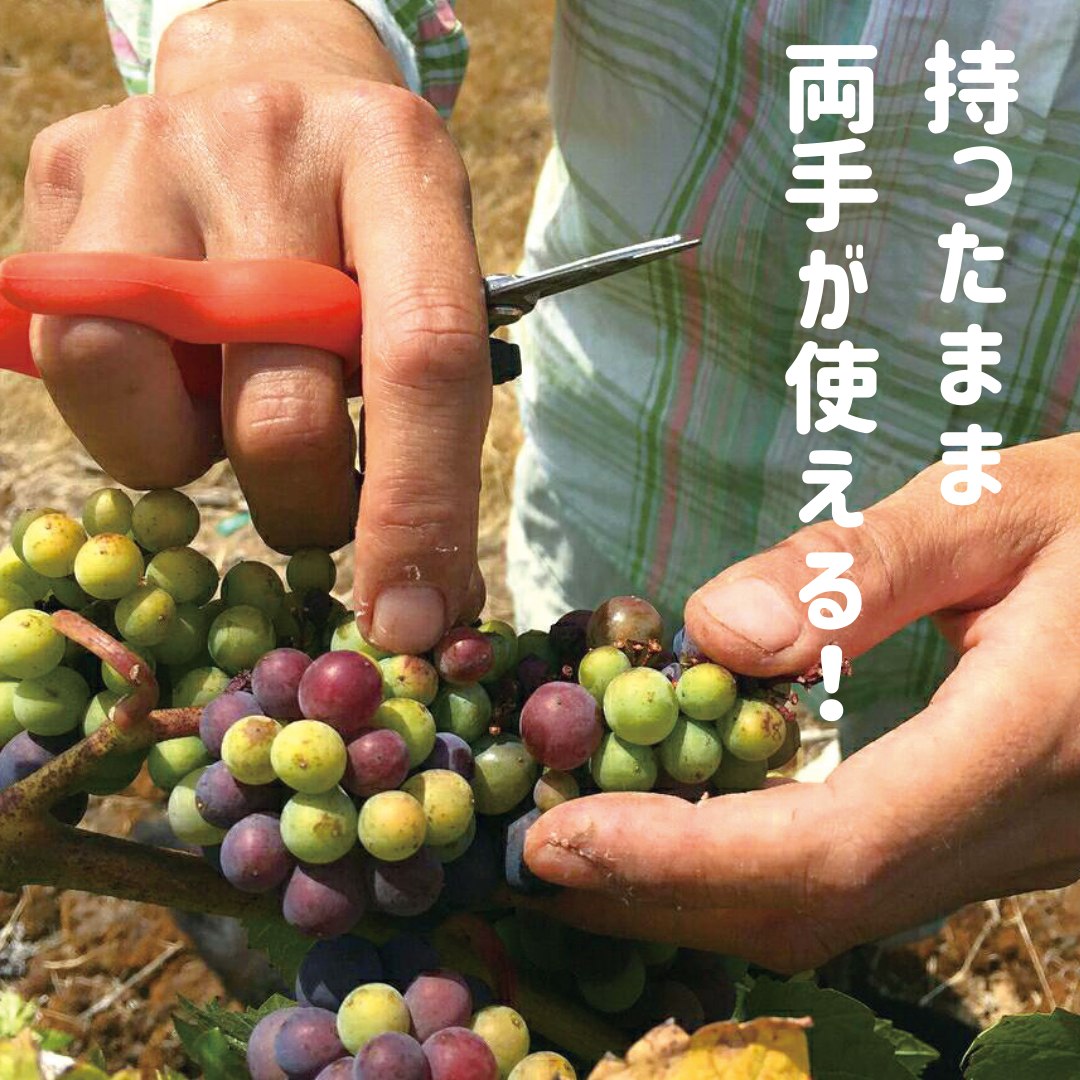 Saboten PT-5 Hands Free Harvesting Shears