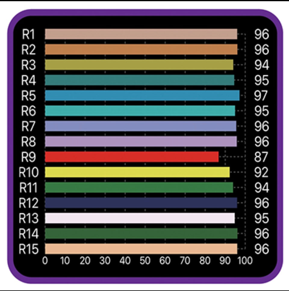 Horti Vision 315w CMH Lamp 10K