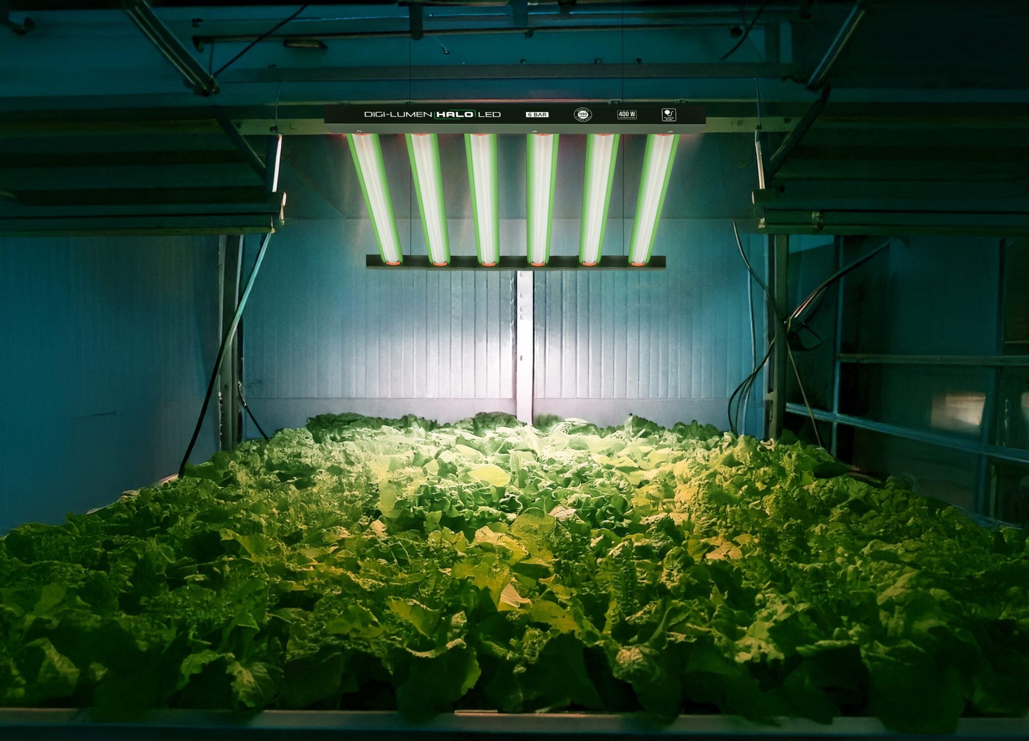 Digi-Lumen Halo Series LED Plant Grow Lighting