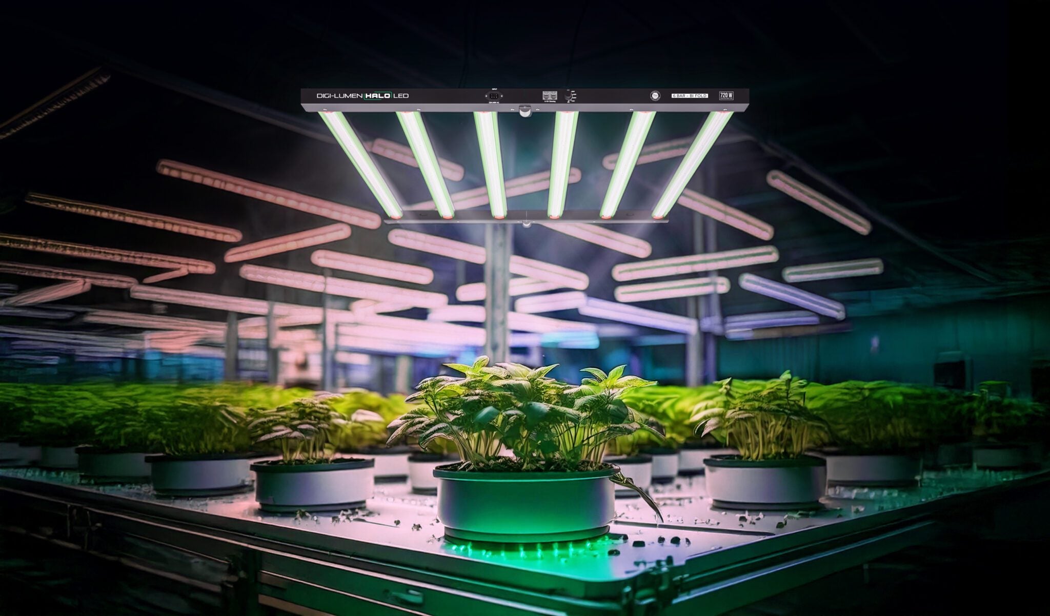 Digi-Lumen Halo Series LED Plant Grow Lighting