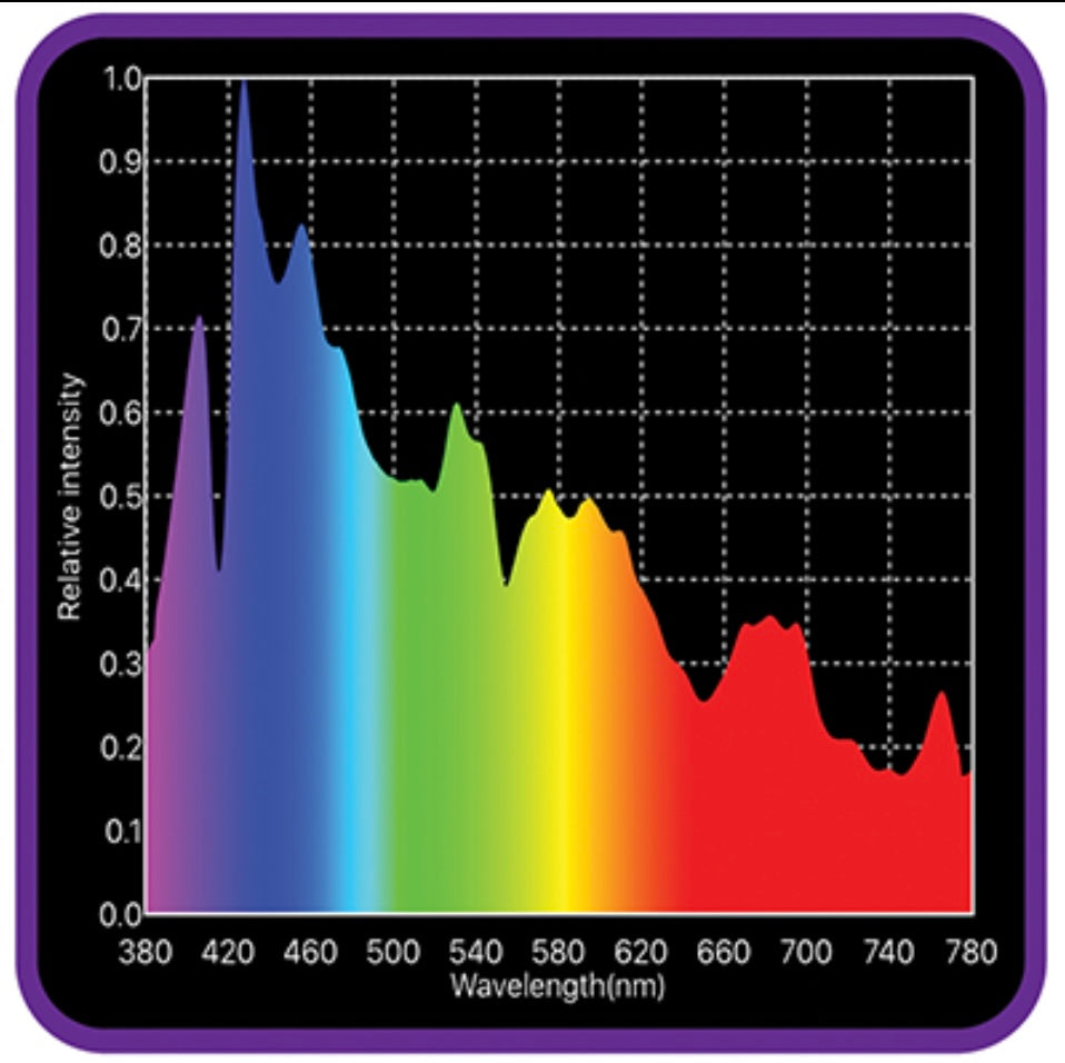 Horti Vision 315w CMH Lamp 10K