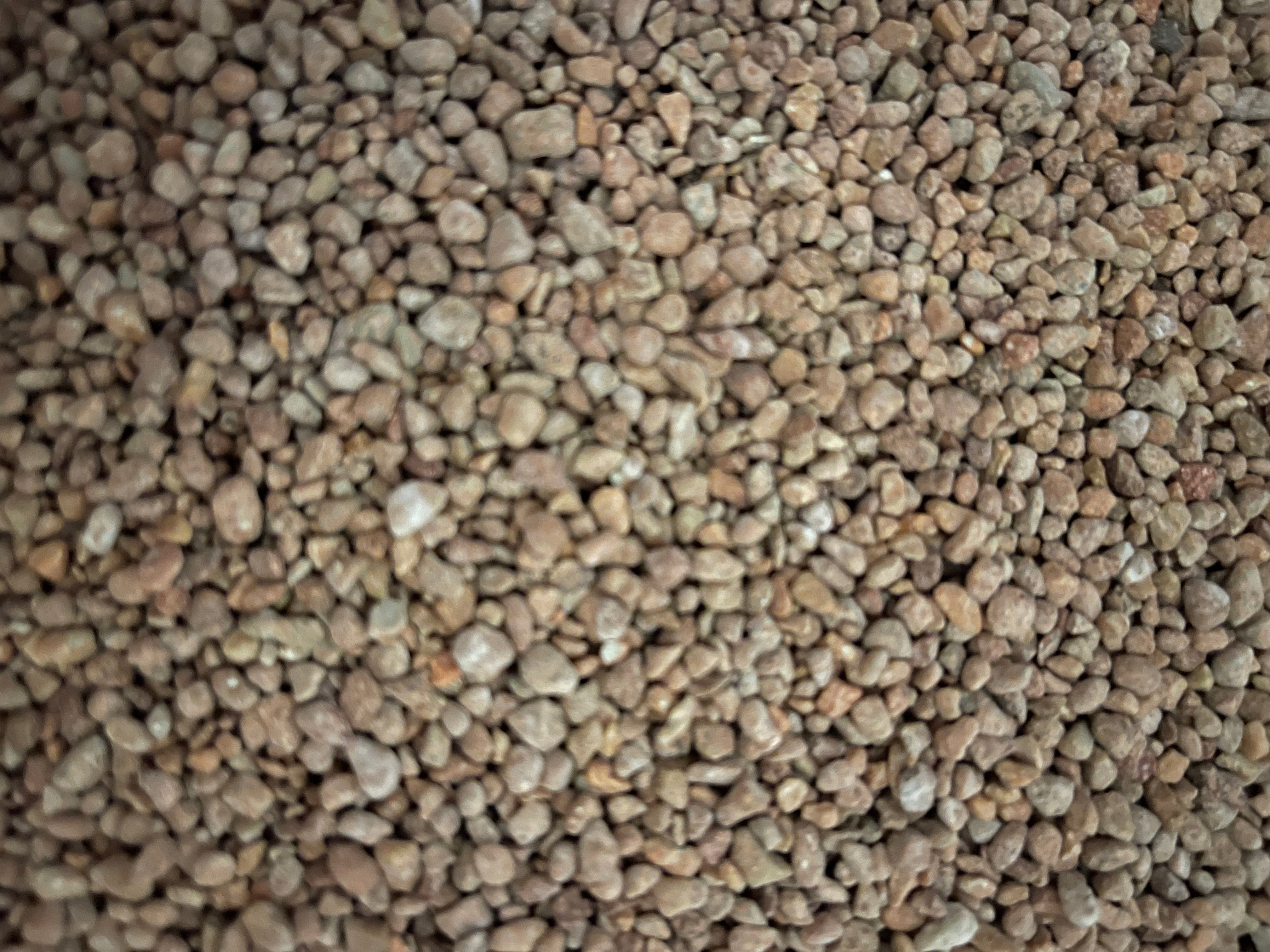 BTI-Biological Fungus Gnat (Scarid Fly) Control Granules-Natural, Long-Lasting Protection for Your Plants