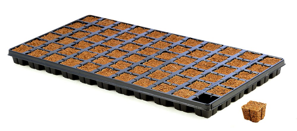 Eazy Plug Organic Propagation System - Hydroponic Solutions
