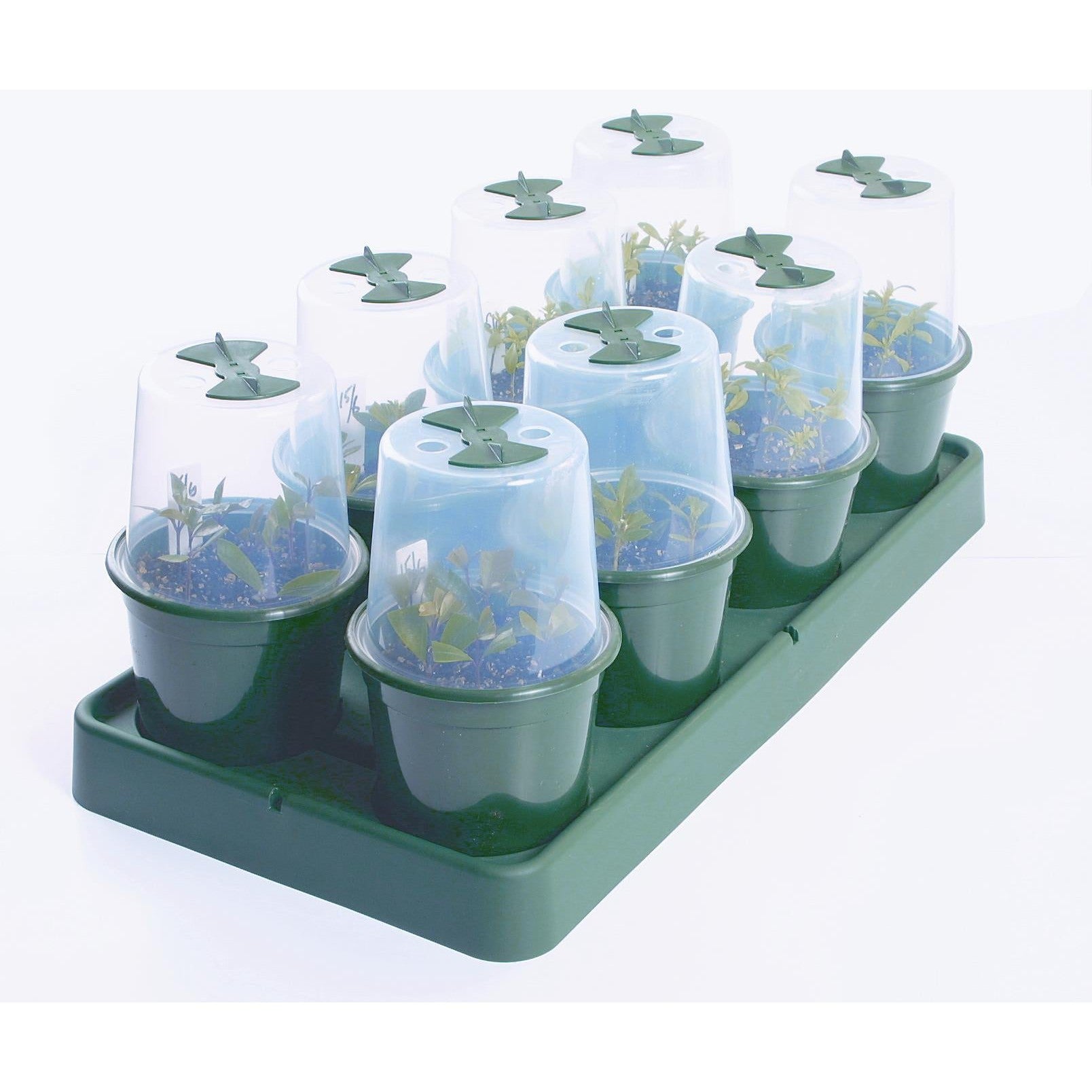 Aquamiser Propagation and Seed Raising Kit - Hydroponic Solutions