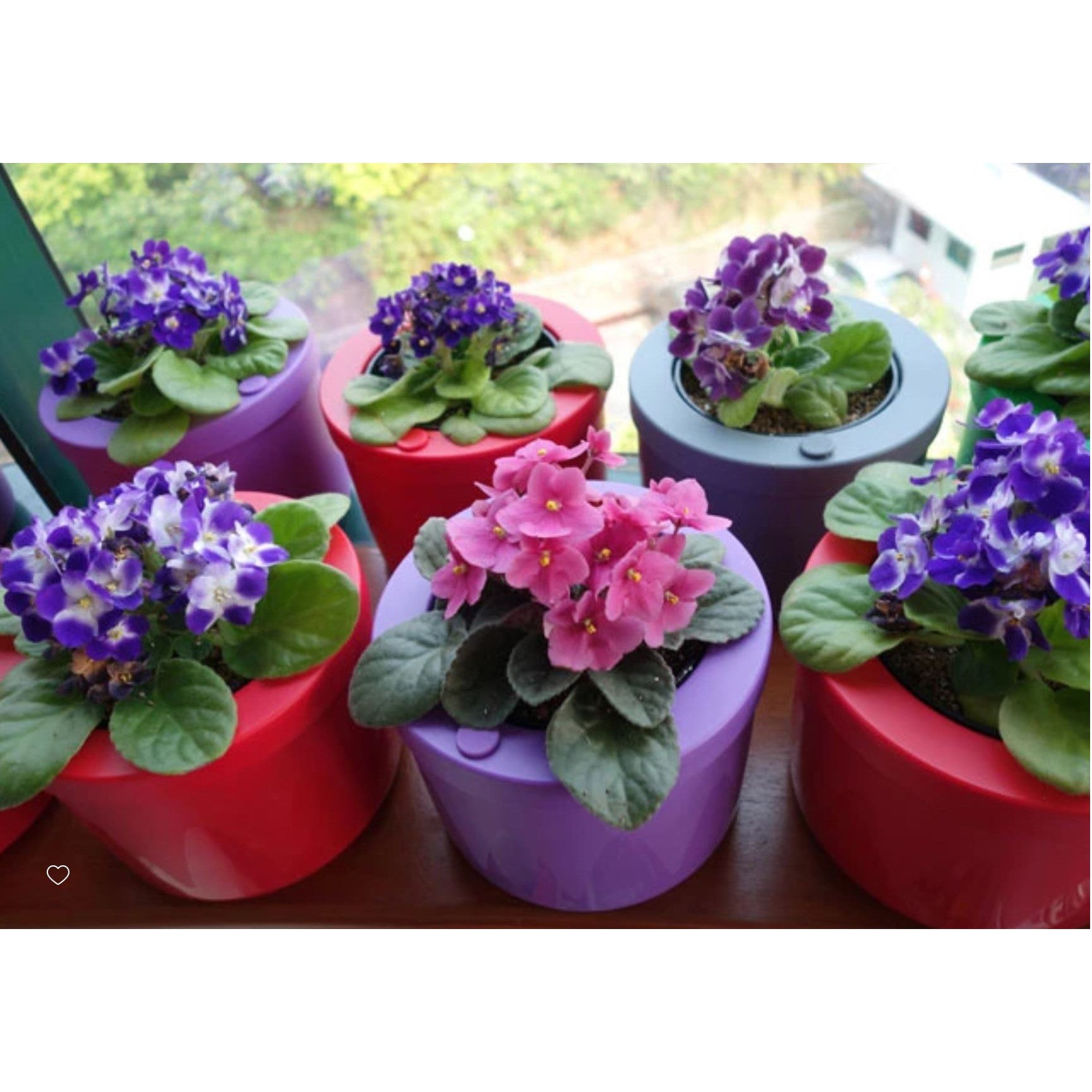 AutoPot Smart Pot Mini, Self Watering Hydroponic Pot - Hydroponic Solutions