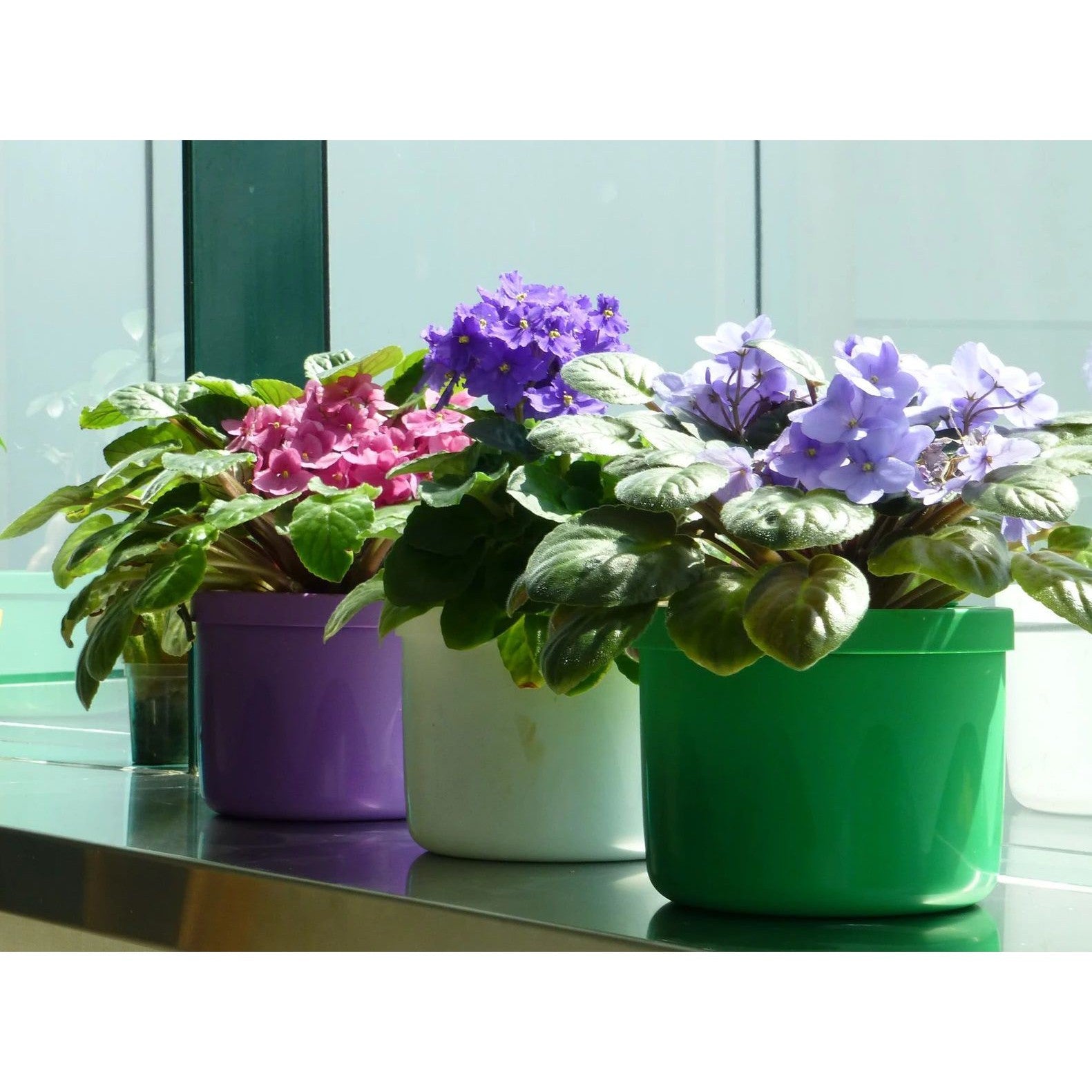 AutoPot Smart Pot Mini, Self Watering Hydroponic Pot - Hydroponic Solutions