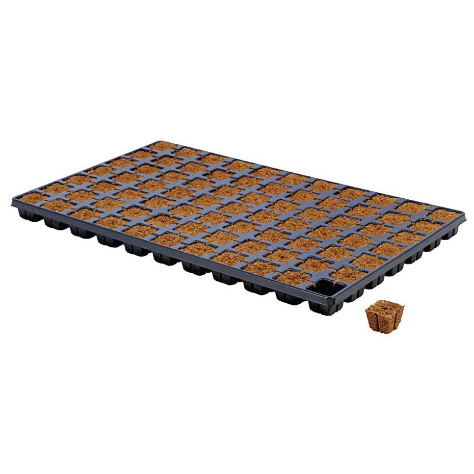 Eazy Plug Organic Propagation System - Hydroponic Solutions