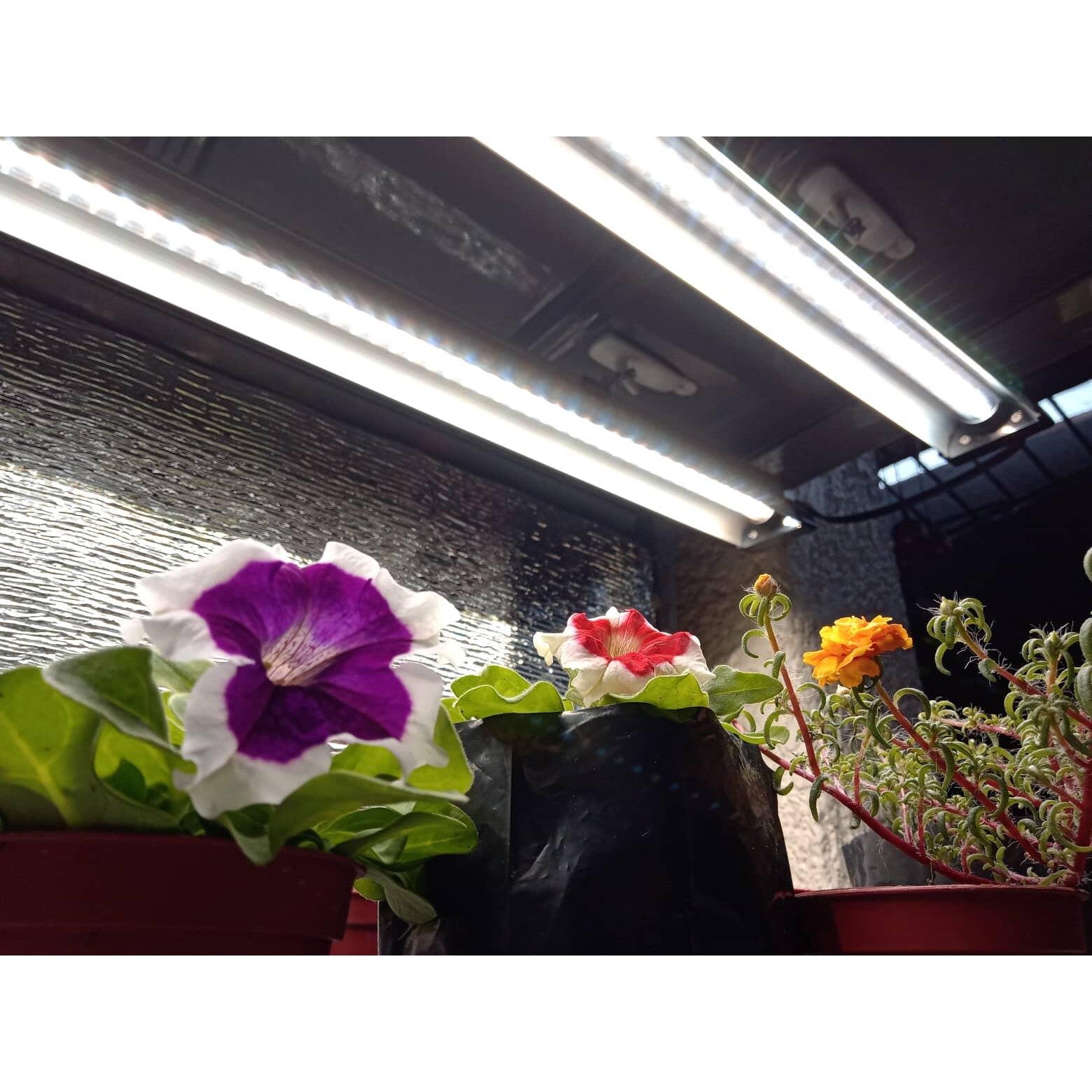 Nanashi Propagator LED Grow Light Bars - Hydroponic Solutions