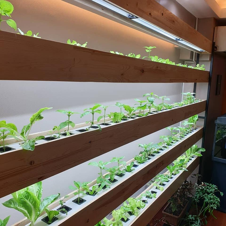 Nanashi Propagator LED Grow Light Bars - Hydroponic Solutions