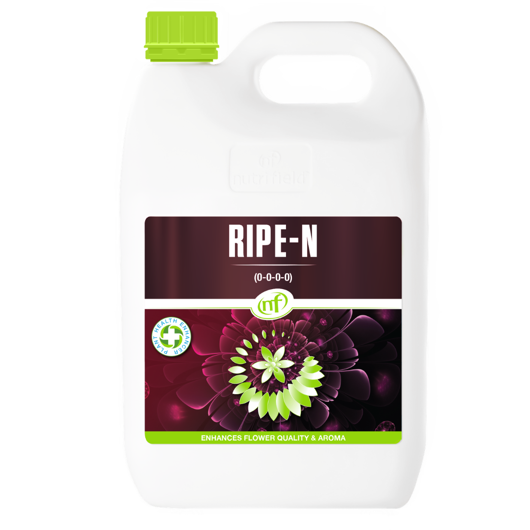 Nutrifield Ripe-N – Flowering & Ripening Enhancer