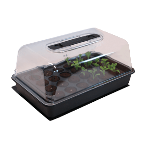 ROOTiT Natural Rooting Sponge Propagation Kit - Hydroponic Solutions